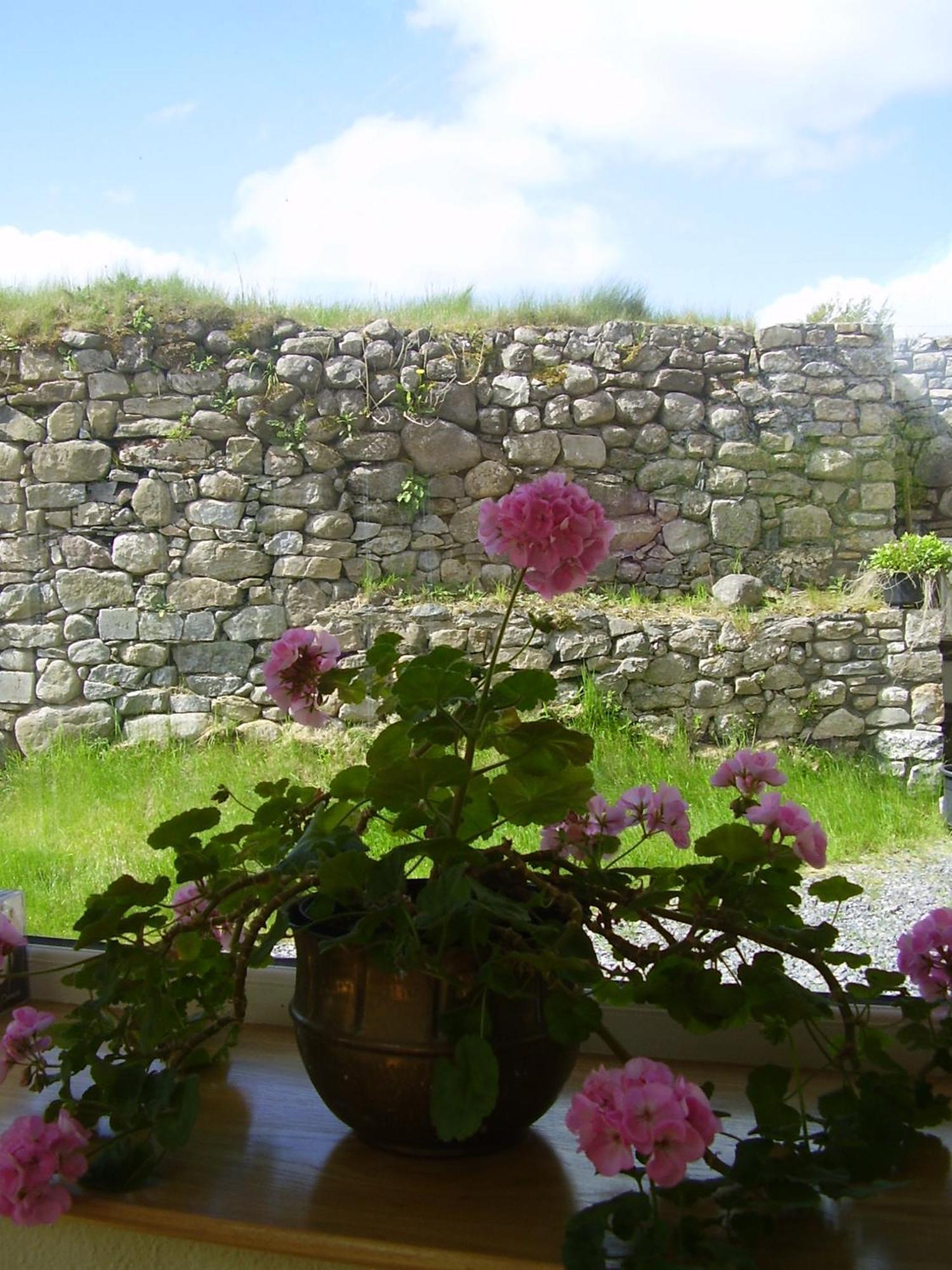 Glenboy Country Accommodation Oldcastle المظهر الخارجي الصورة